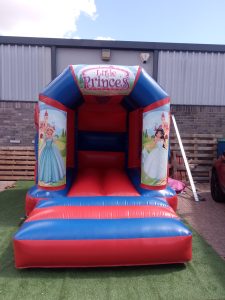 Little Princess Castle photo