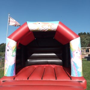 Unicorns Castle photo