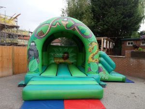 Jungle Slide and Castle photo