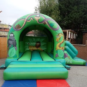 Jungle Slide and Castle photo