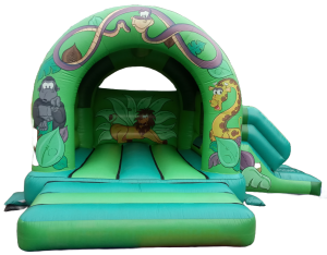 Jungle slide combo photo