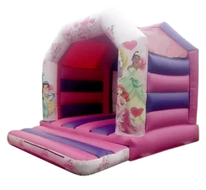 princess castle photo