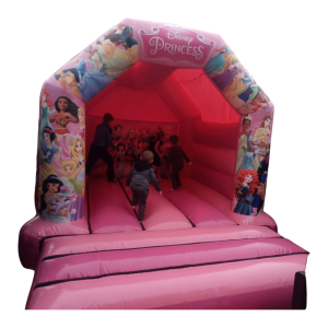 Princess castle photo