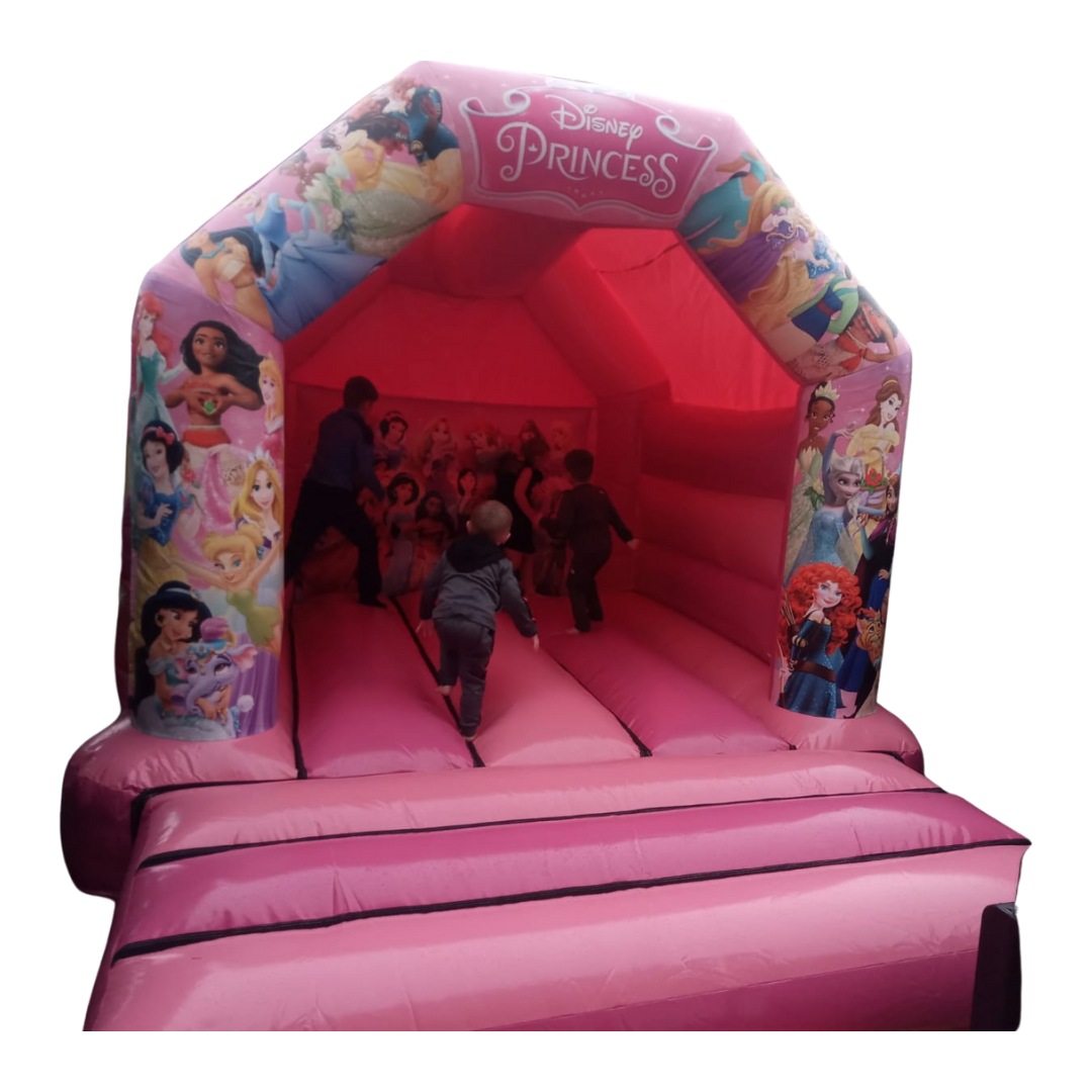 Princess castle photo